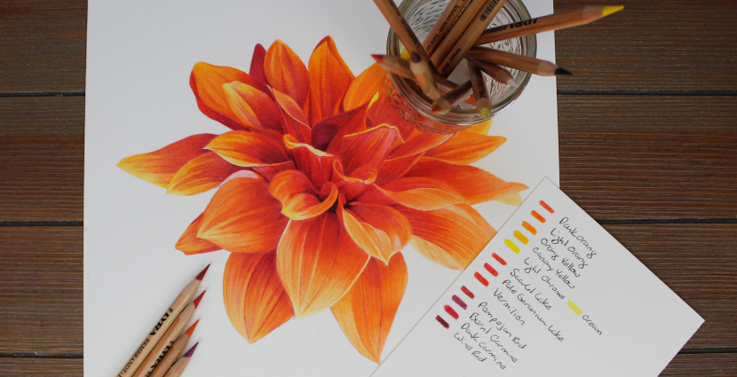 Flower color pencil deals drawing